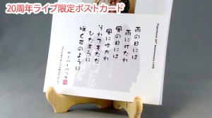 ペーパーバック