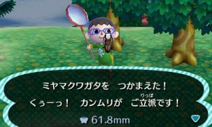 とびだせ どうぶつの森